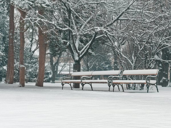 Devenir Dentiste en France : Le Guide Complet des Étapes Clés à Suivre